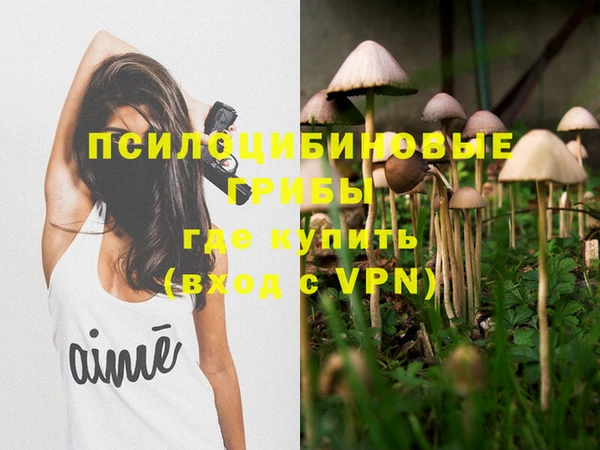 не бодяженный Арсеньев