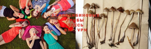 не бодяженный Арсеньев